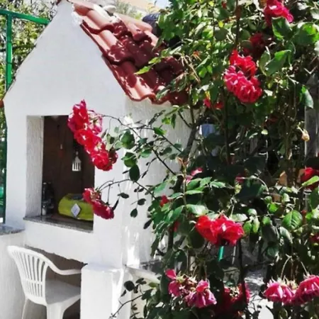 Apartment Marjetka Charming - Daisy Rab Town